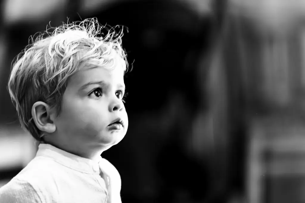 Group photography capturing friends and family in joyful moments.